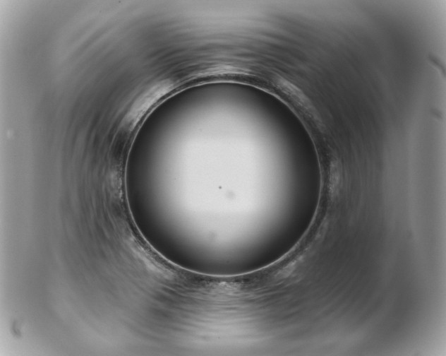 X0000103281321200808291303