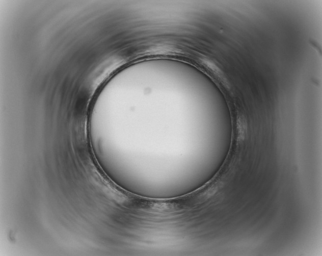 X0000103281322200808291303