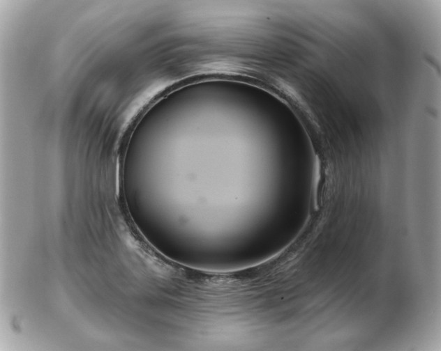 X0000103281323200808291303