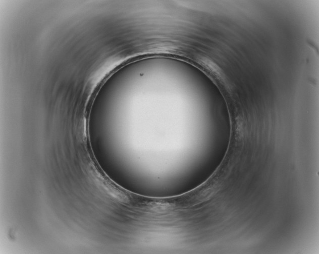 X0000103281324200808291303