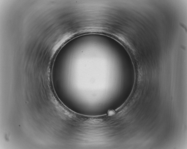 X0000103281325200808291303