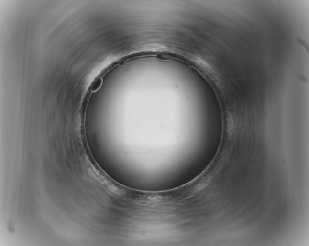 X0000103281326200808291303