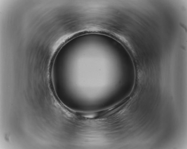 X0000103281327200808291303