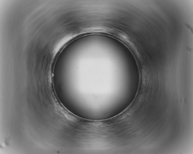 X0000103281328200808291303