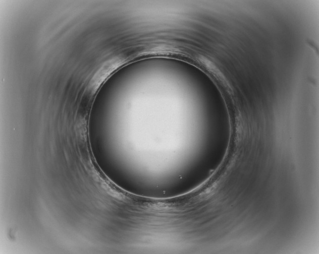 X0000103281329200808291303