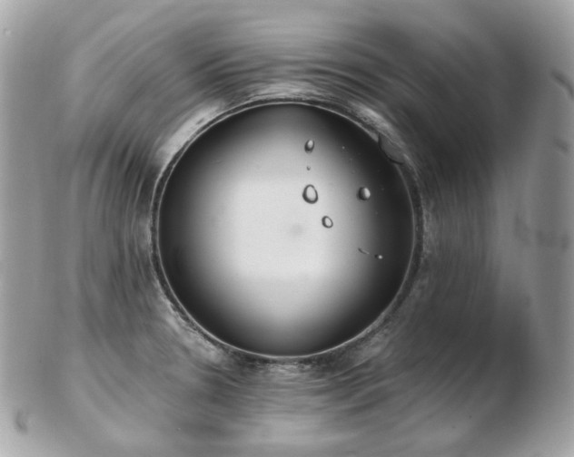 X0000103281330200808291303