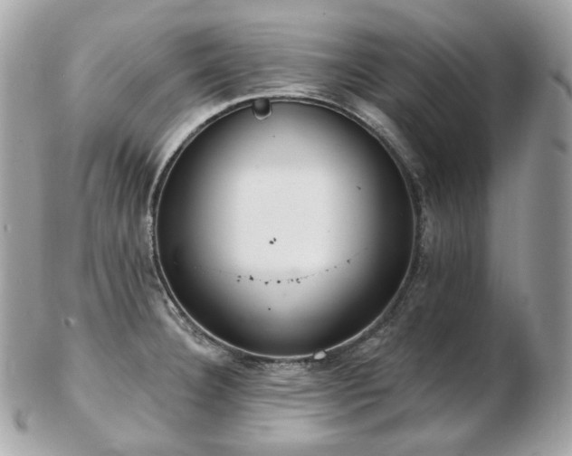 X0000103281332200808291303