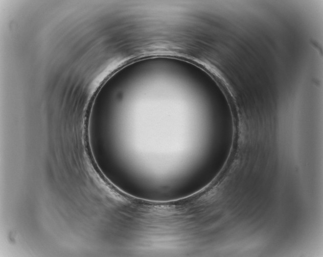 X0000103281333200808291303