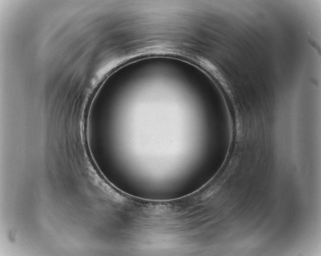 X0000103281334200808291303