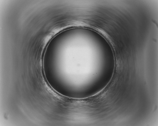 X0000103281335200808291303