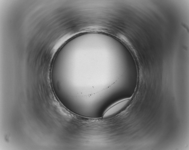 X0000103281336200808291303