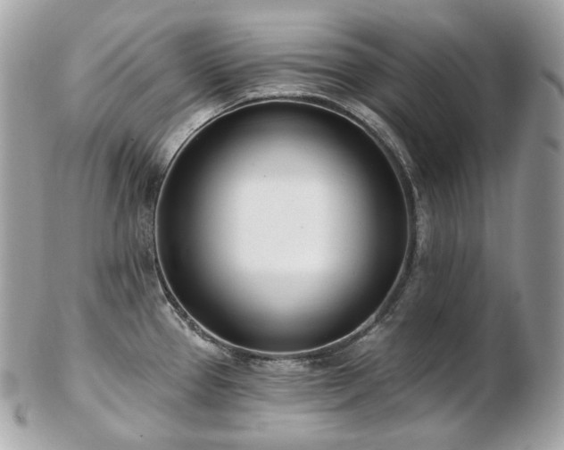 X0000103281337200808291303