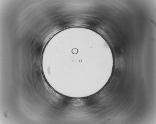 X0000103281338200808291303