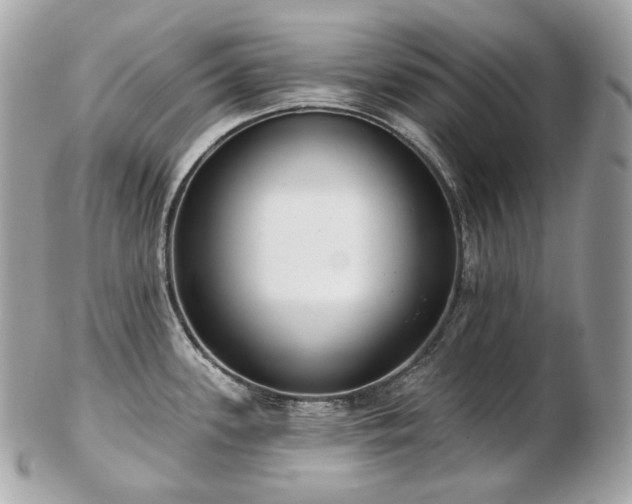 X0000103281339200808291303