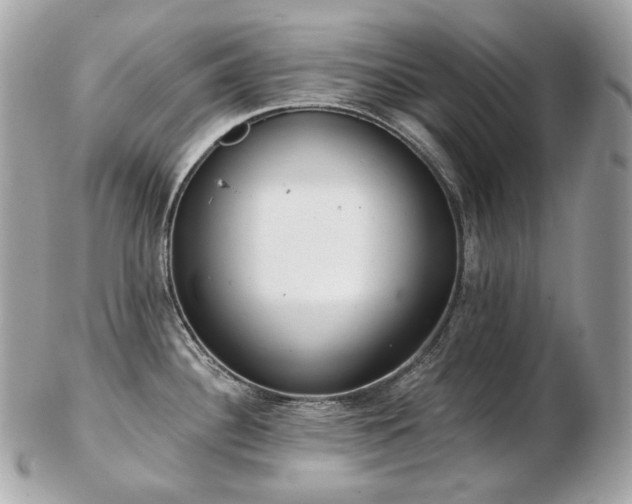 X0000103281340200808291303