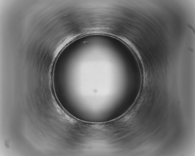 X0000103281341200808291303