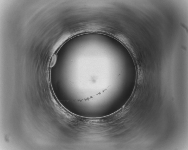 X0000103281342200808291303