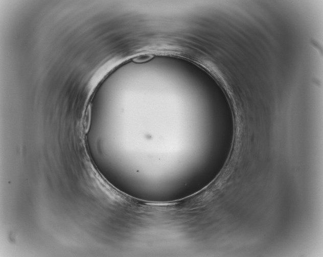 X0000103281344200808291303