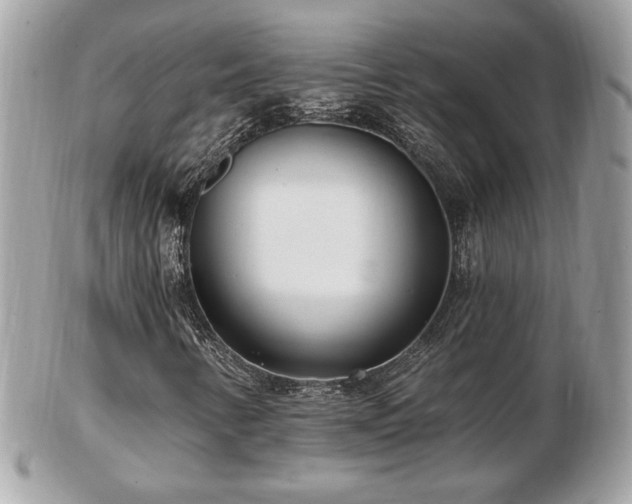 X0000103281346200808291302