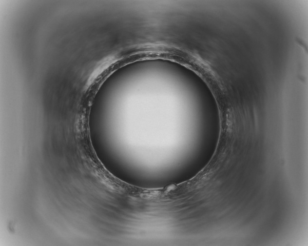 X0000103281352200808291302