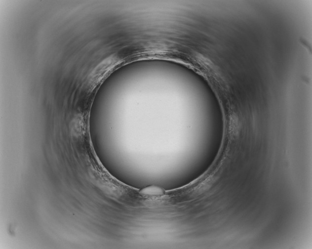 X0000103281353200808291302