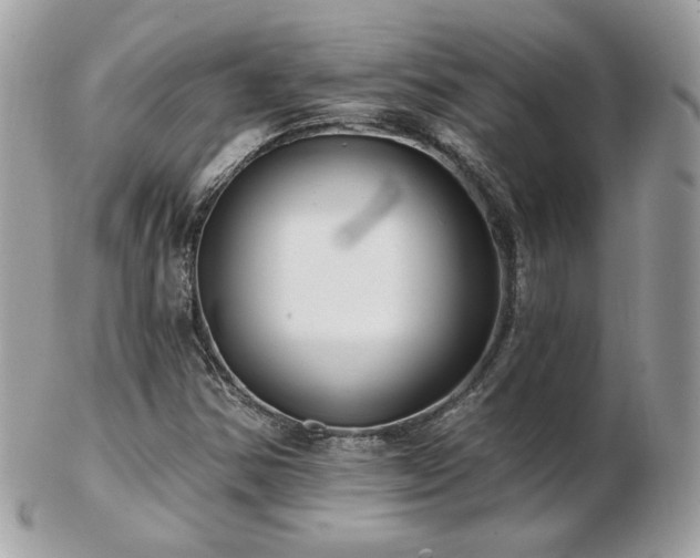 X0000103281354200808291302