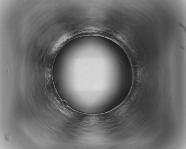 X0000103281355200808291302