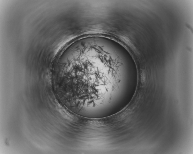 X0000103281356200808291302