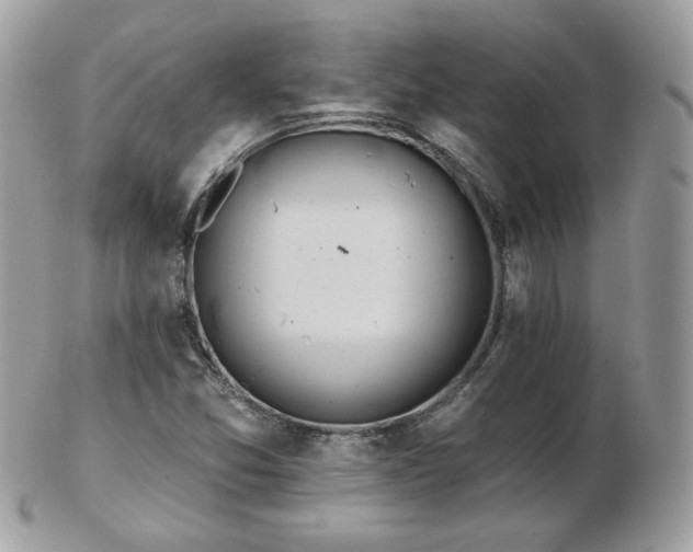 X0000103281357200808291302