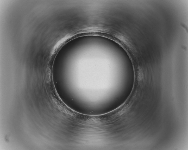 X0000103281358200808291302