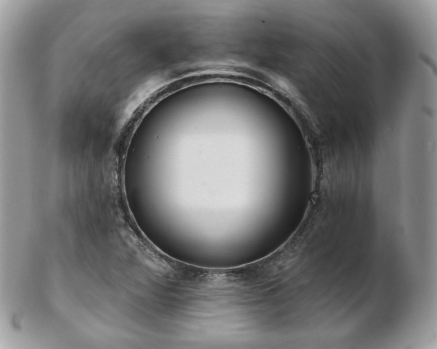 X0000103281360200808291302