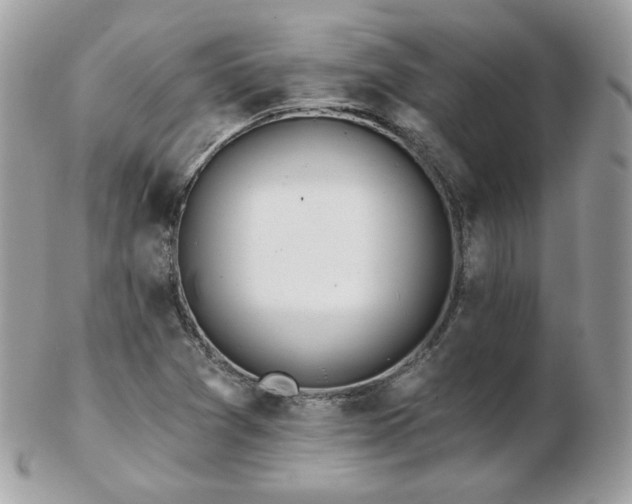 X0000103281361200808291302