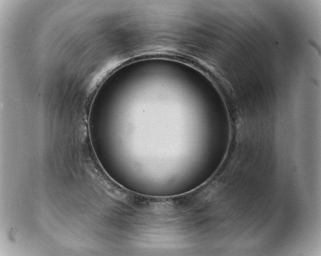 X0000103281363200808291302