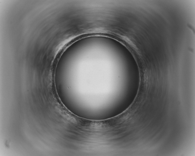 X0000103281364200808291302