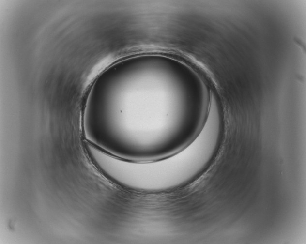 X0000103281365200808291302