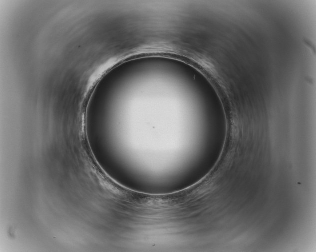 X0000103281366200808291302