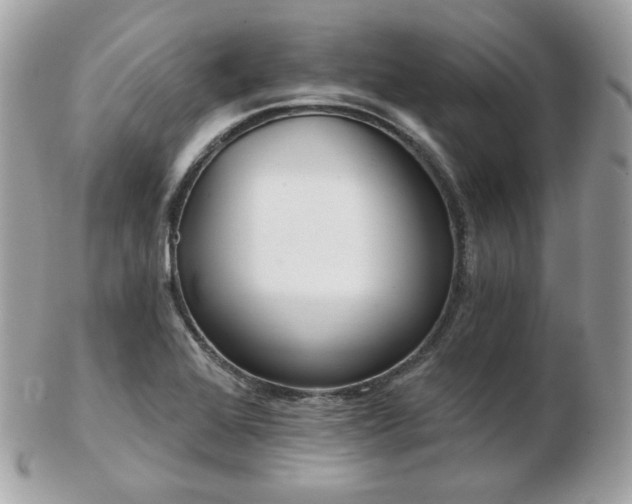 X0000103281368200808291302