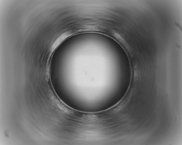 X0000103281370200808291302