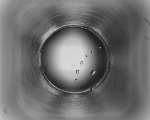 X0000103281371200808291302