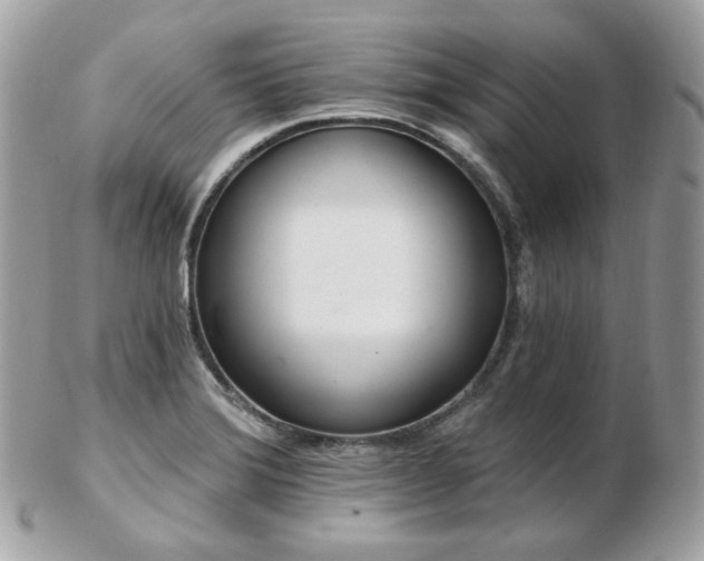 X0000103281372200808291302