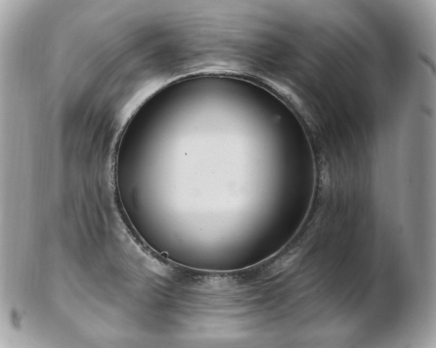 X0000103281375200808291302