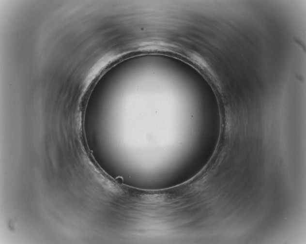 X0000103281376200808291302