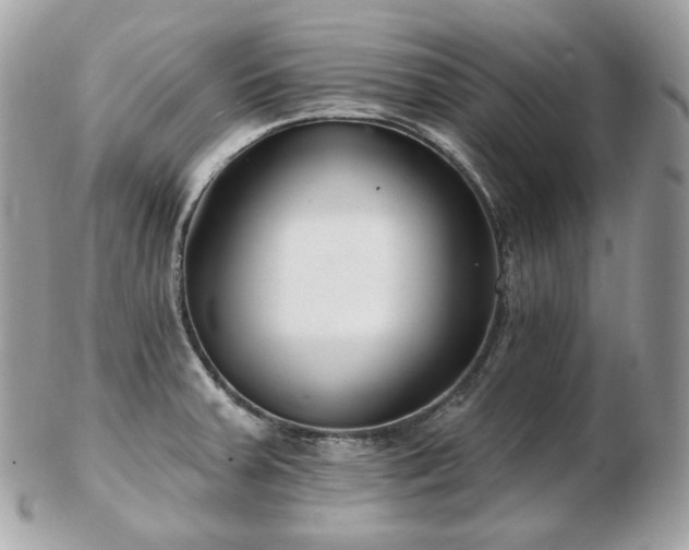 X0000103281379200808291302