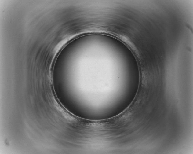 X0000103281380200808291302