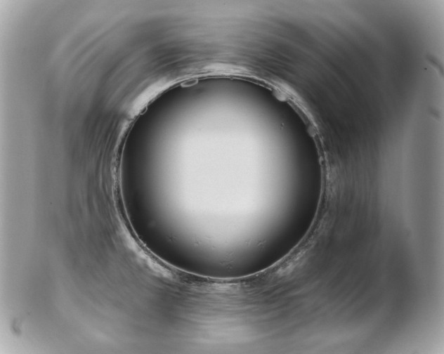 X0000103281381200808291302