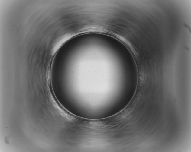 X0000103281383200808291302