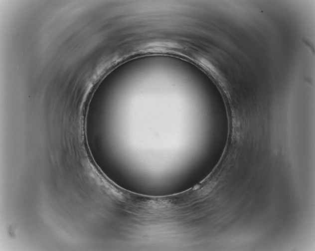 X0000103281384200808291302