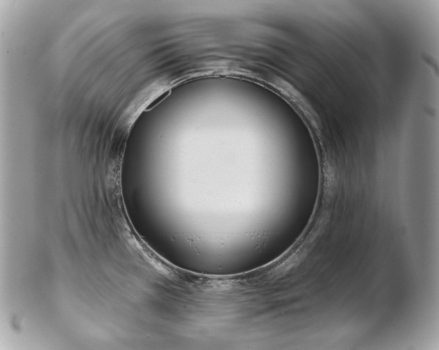 X0000103281385200808291302