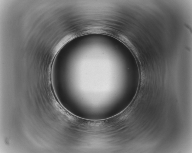 X0000103281386200808291302