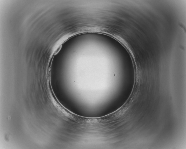 X0000103281389200808291302